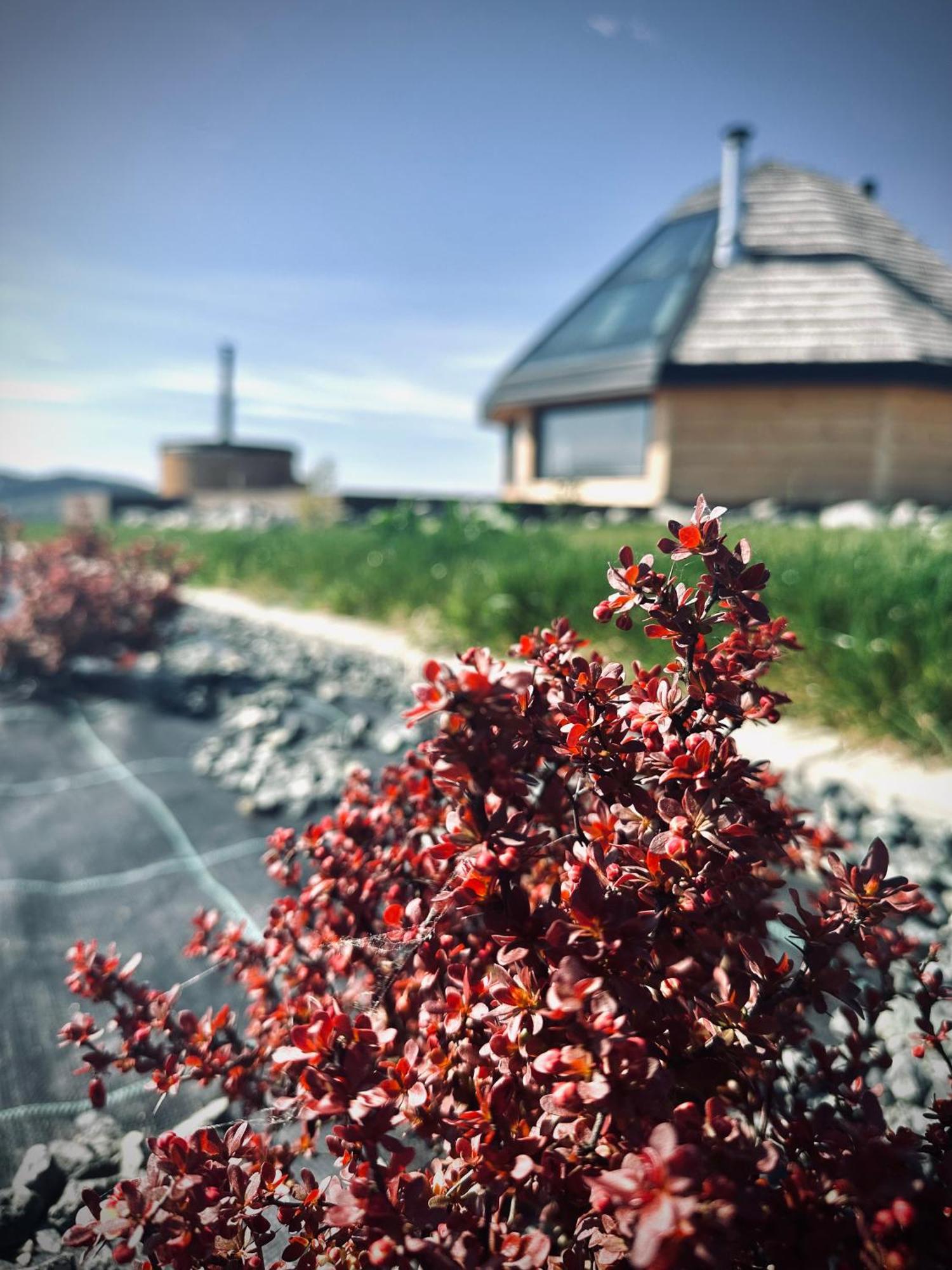 Heavenly Houses - Niebianskie Domki Явожинка Екстер'єр фото